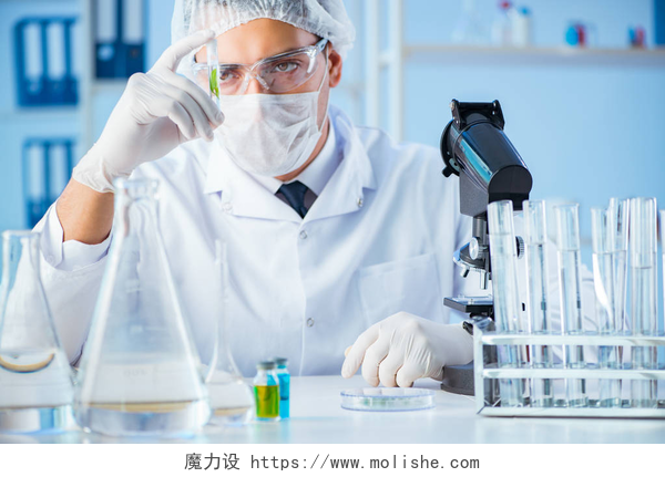 在实验室做实验的科研人员实验室科学家的生物技术概念